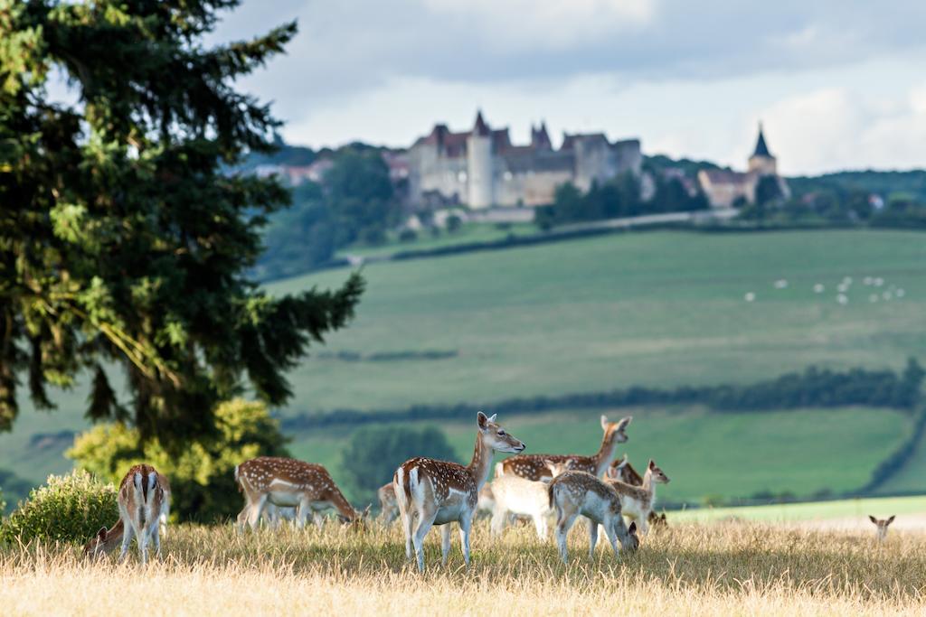 Chateau Sainte Sabine Exterior foto